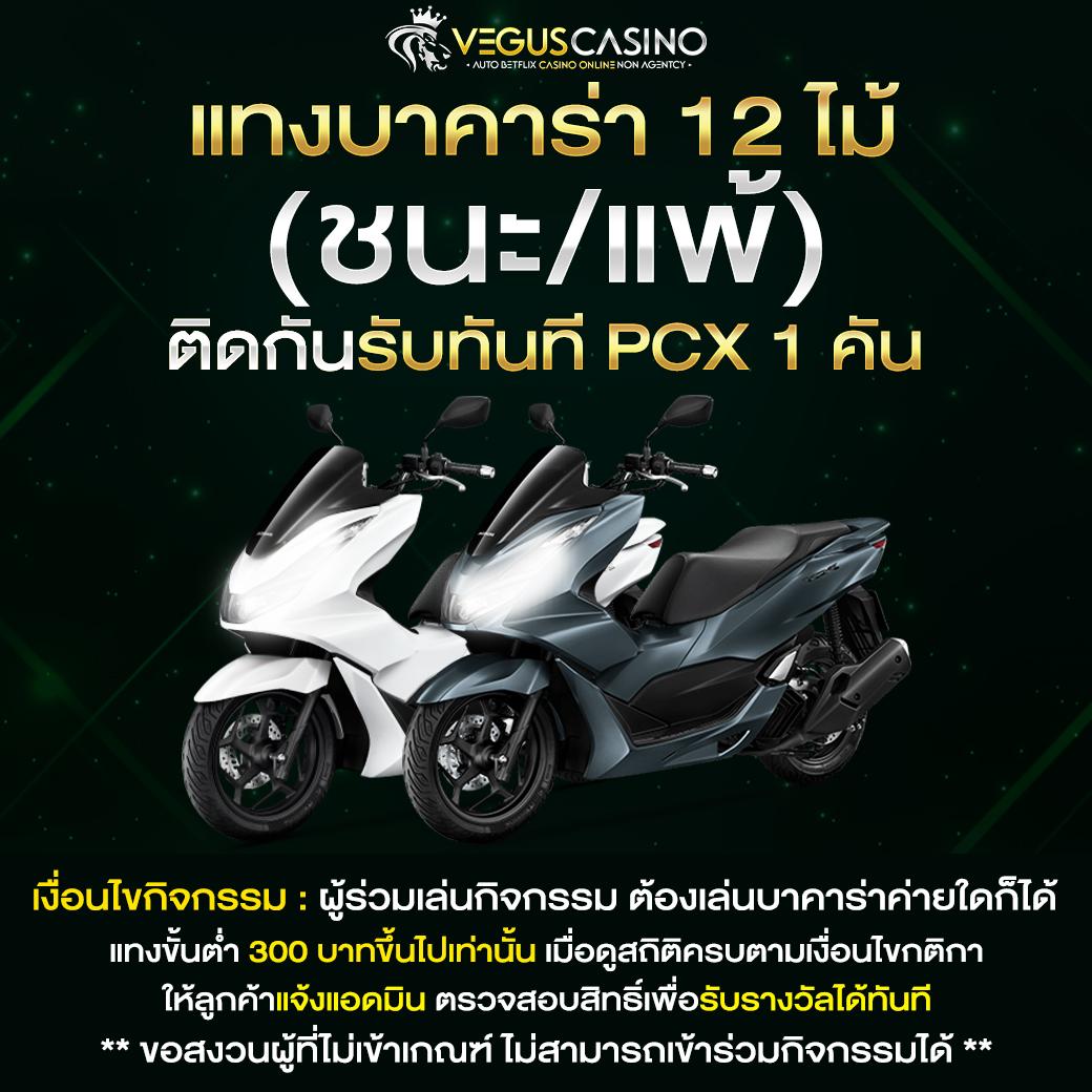 scb711 เว็บตรง สล็อต ฝากถอนออโต้ ไม่ผ่านเอเย่นต์ 2026